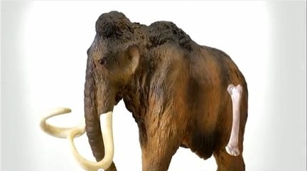 Il découvre des ossements de mammouth dans son jardin !