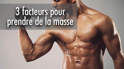 Les 3 facteurs essentiels pour prendre de la masse musculaire