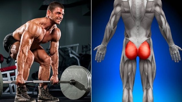 Les meilleurs exercices pour les muscles fessiers