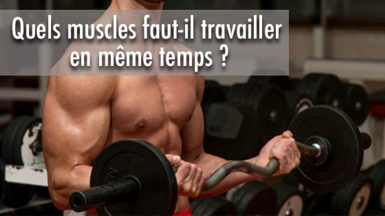 Quels muscles faut-il travailler en même temps ?