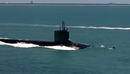 Ce sous-marin profite de la protection des dauphins