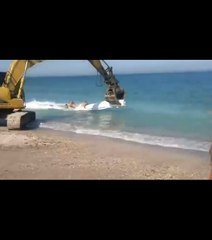 Ils surfent sur l’eau grâce à un tractopelle
