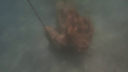 ext-proyecto-punta-leona-100322