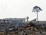 Japon: un appel aux dons lancé sur Facebook pour sauver un arbre survivant du tsunami