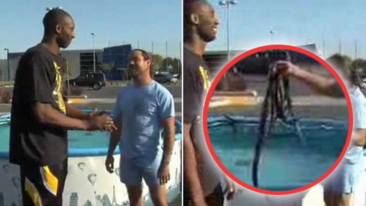 Kobe Bryant marque un énorme dunk au dessus d'une piscine pleine de serpents