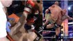 UFC : Luis Nogueira imite The Rock et réussit le premier "Rock Bottom" de l'histoire du MMA