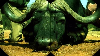 The most powerful PCP 2022 air rifle