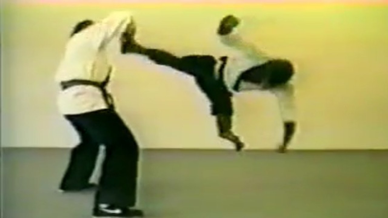 Une démonstration de Kung-fu complètement dingue par... un singe !