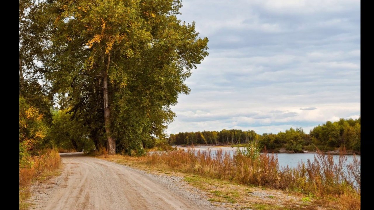 I Am A Pilgram Dr. Robert Ownby