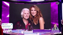 Dérapage dans TPMP à propos Céline Dion : 