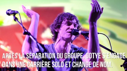 BIO POEPLE : Gotye De Backer