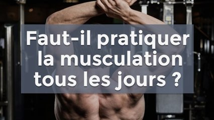 Entraînement : faut-il pratiquer la musculation tous les jours ?