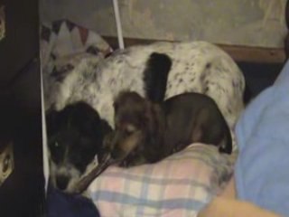 MAX ET SHANA DANS MA CHAMBRE