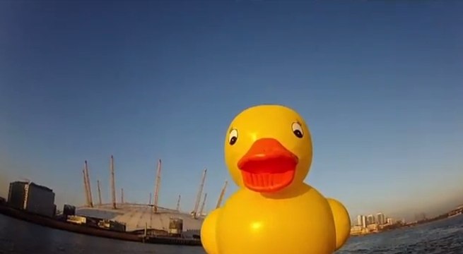 Un canard jaune se balade sur la Tamise à Londres !