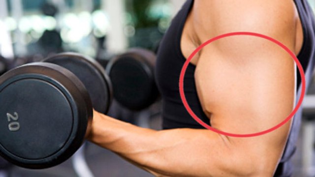 Une super astuce pour que vos biceps grossissent encore plus