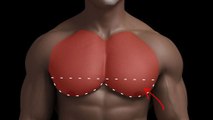 Une astuce super efficace pour prendre du volume au niveau des pecs