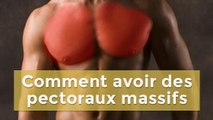 Programme musculation : comment muscler rapidement vos pectoraux