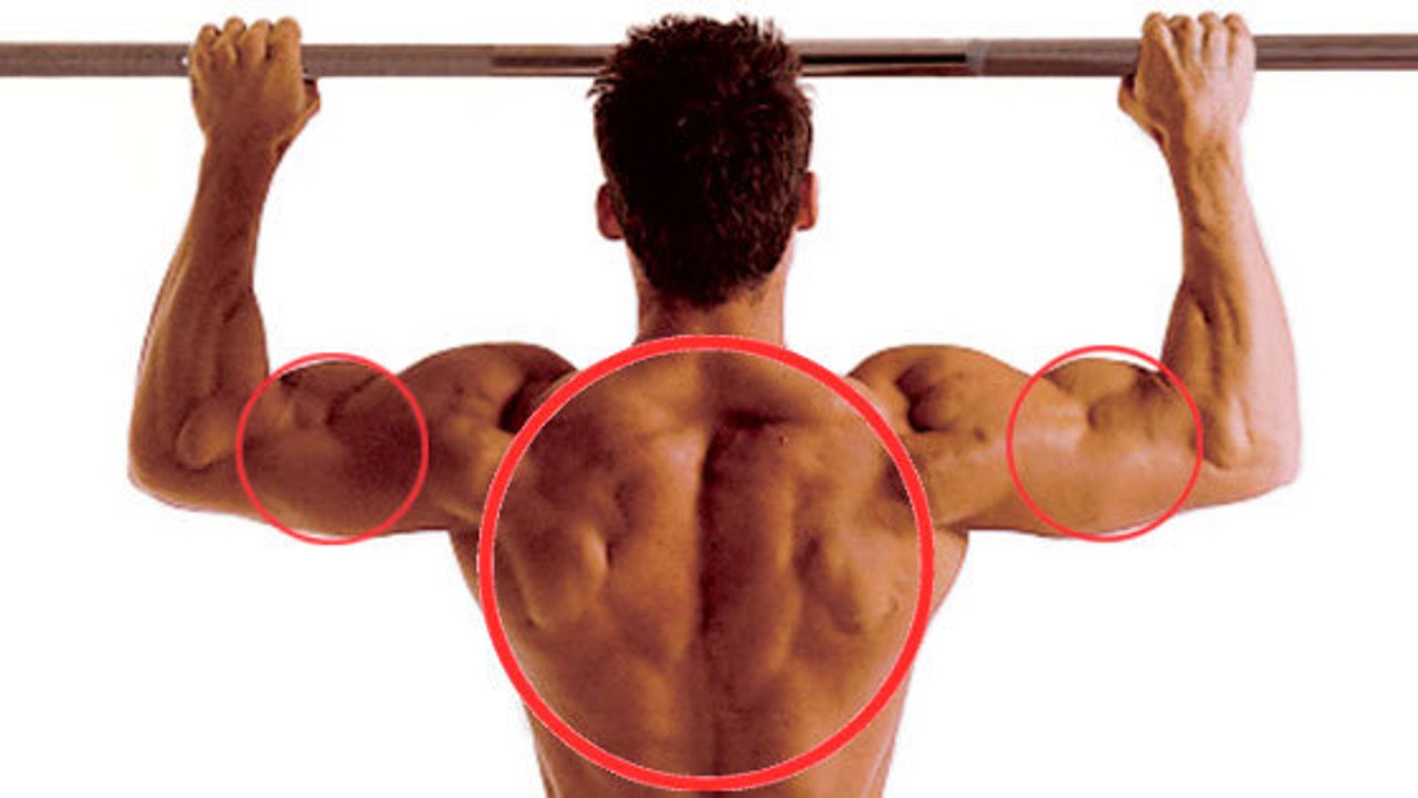 Traction : les meilleures variations pour muscler votre dos et vos biceps