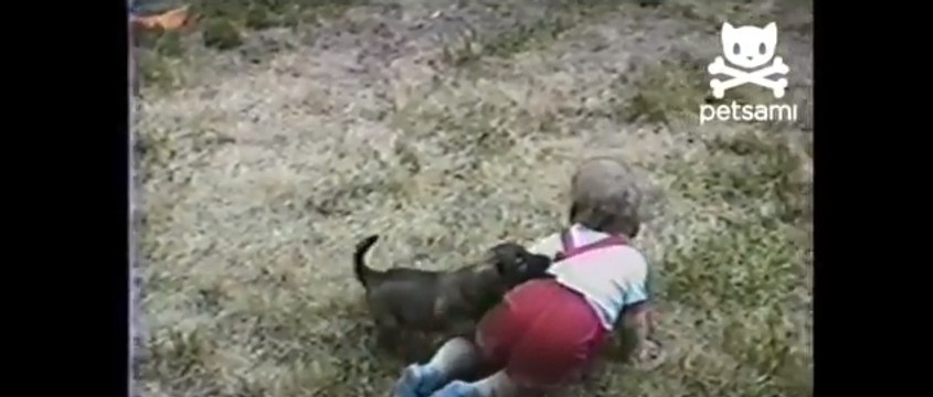 Oui, le chien est le meilleur ami des bébés et des enfants !