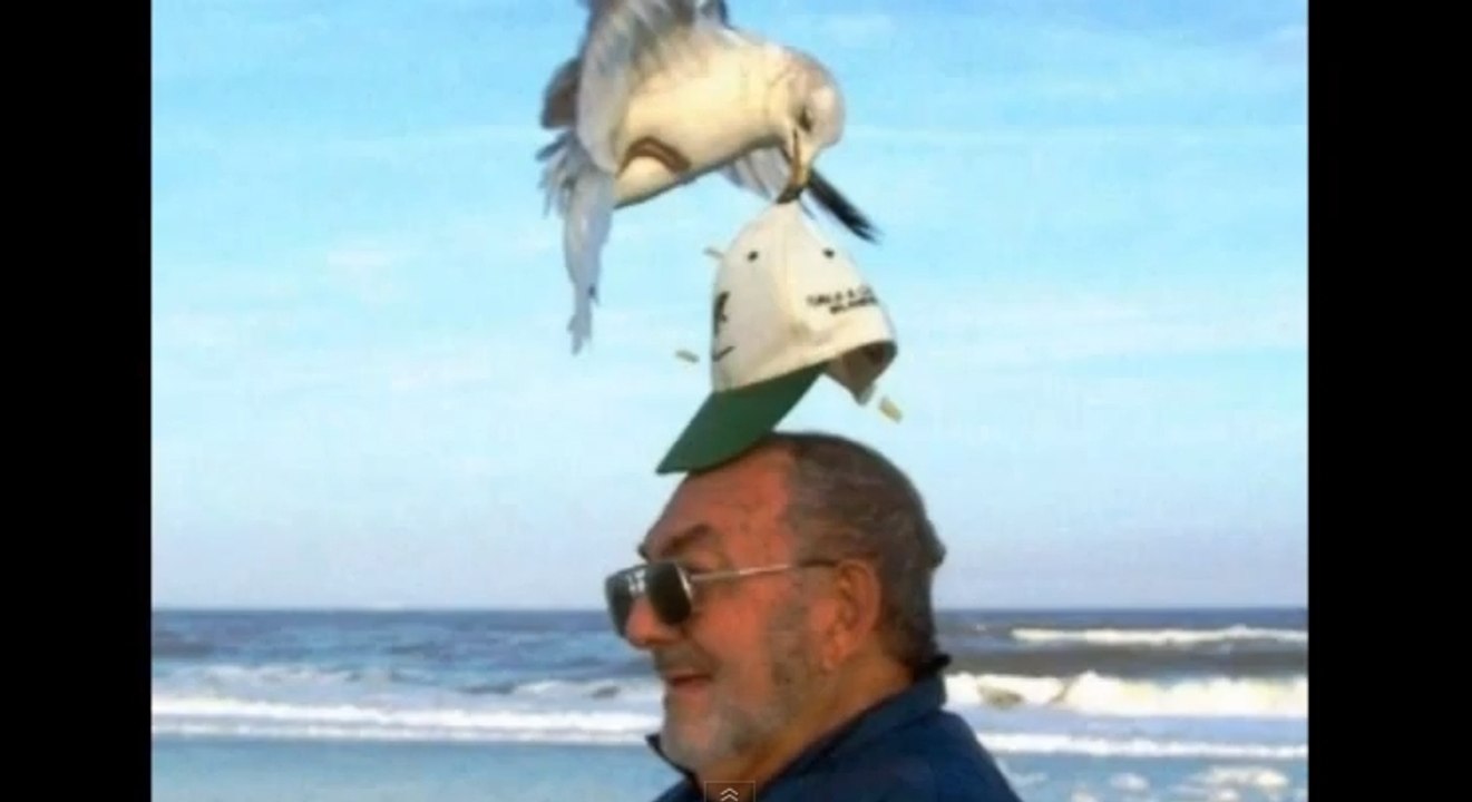 Ces photos ont été prises au bon endroit et au bon moment !