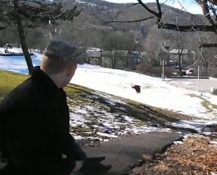 Il redonne la liberté à une souris... qui se fait attraper par un faucon !