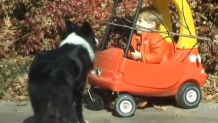 Un petit garçon porté disparu est retrouvé grâce à son chien
