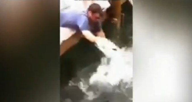 Regardez cet homme se faire gober le bras par un énorme poisson