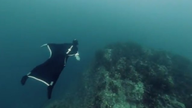 Adepte du wing suit, il pratique ce sport extrême sous l'eau