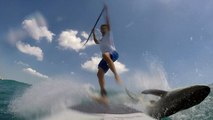 La planche d'un surfeur en stand up paddle entre en collision avec un requin