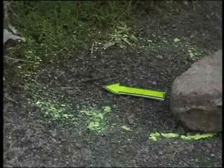 Polis sahkan letupan berpunca dari IED