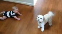 Pour faire rire un bébé, faites appel à un chien !