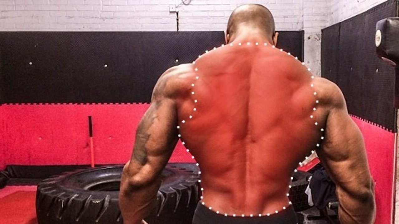 L'entraînement idéal pour le dos par le poids du corps