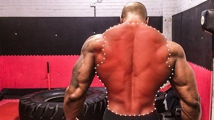 L'entraînement idéal pour le dos par le poids du corps