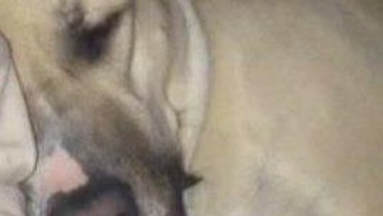 Oui, Beckham ronfle à en faire trembler les murs !