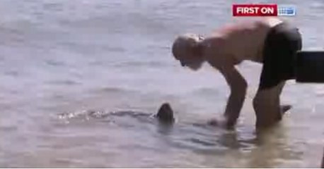 Regardez ce grand-père s'attaquer à un bébé requin pour l'éloigner de la plage