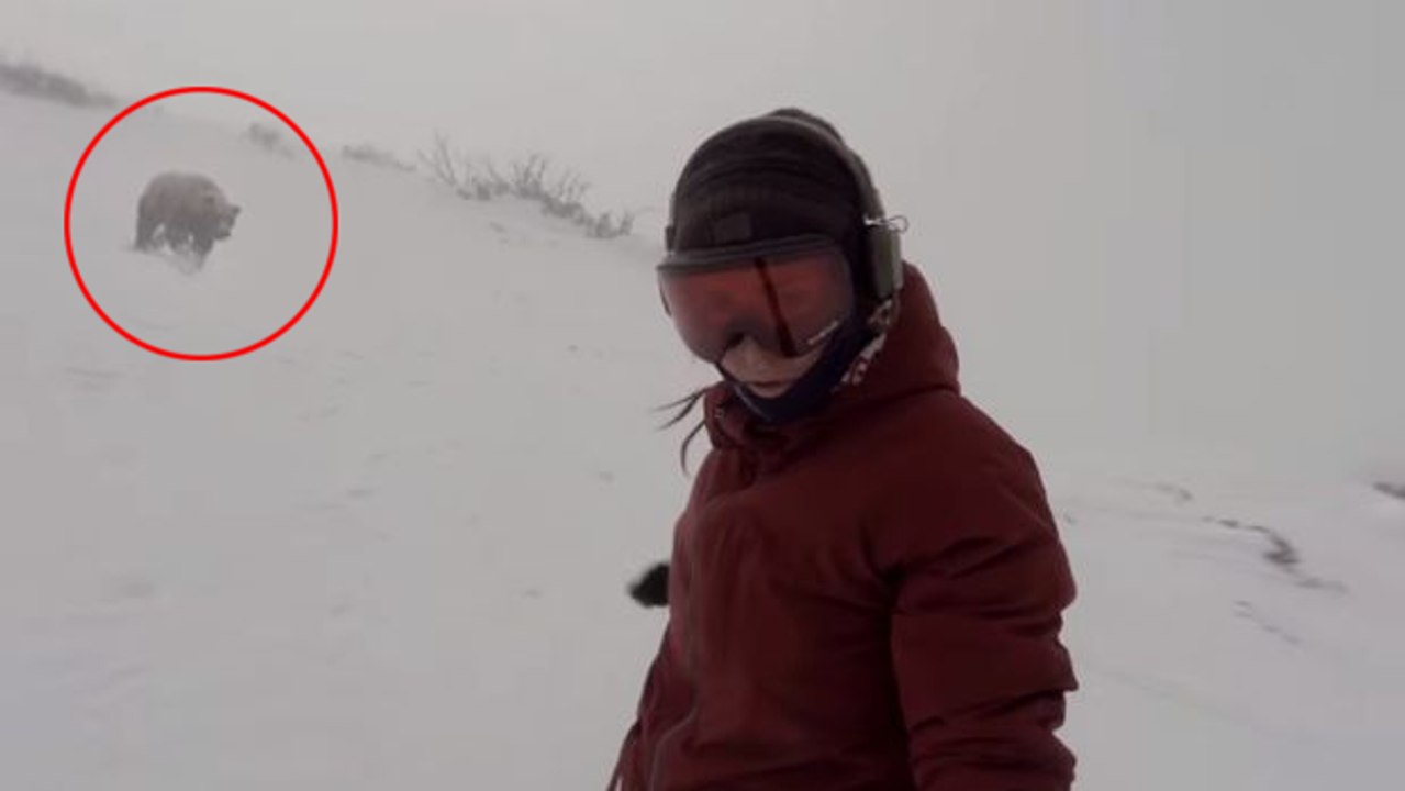 Une snowboardeuse se fait courser par un ours en pleine descente