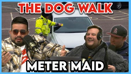 Chicago Meter Maid Shares Stories on The Hated Profession