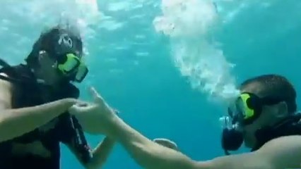 Regardez la demande en mariage de Joseph House façon chasse au trésor