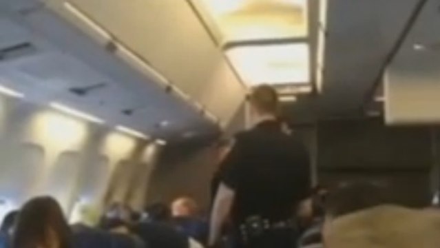 Une femme chante du Whitney Houston et pousse le pilote à se poser en urgence