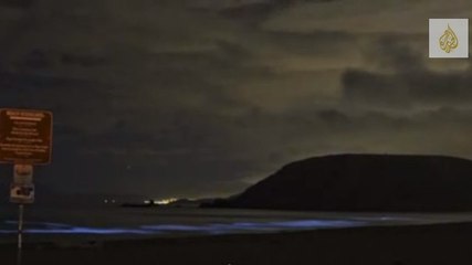 Découvrez l'étrange phénomène de la marée bleue en Californie