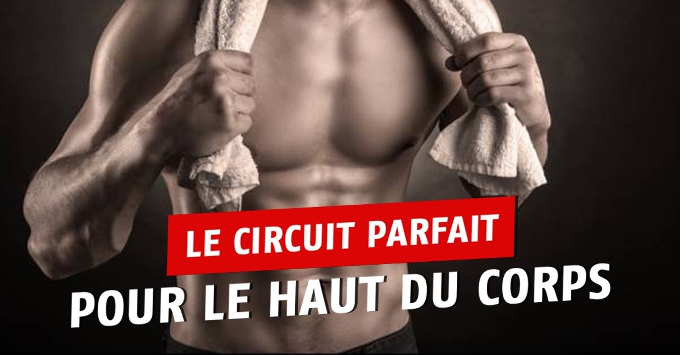 Programme musculation : un circuit d'entraînement parfait pour vous muscler le haut du corps