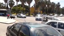 A Malaga, un passant arrête à mains nues un taureau échappé en pleine rue