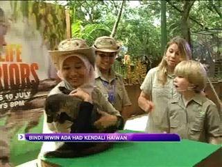 Bindi Irwin ada had kendali haiwan