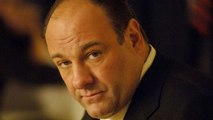 Mort de James Gandolfini : Hollywood pleure Tony Soprano