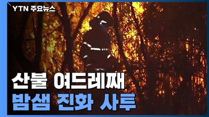 여드레째 밤샘 사투..."금강송 군락지 앞 사투" / YTN