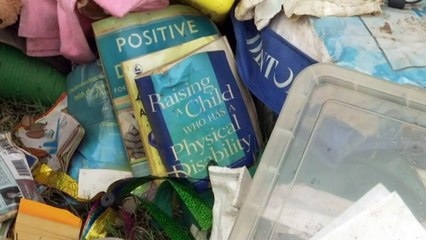 Calls for NSW flood survivors with disability to be prioritized for housing