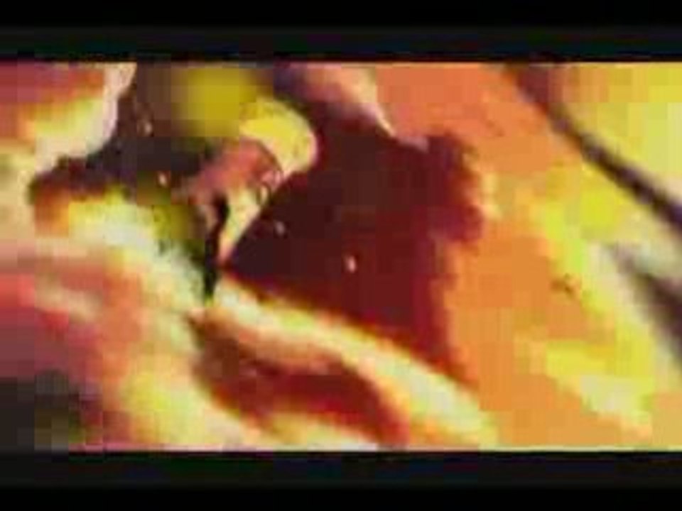 Black Lagoon AMV Duality