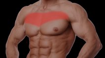 Voici le meilleur exercice pour prendre de la masse au niveau du haut de vos pecs !