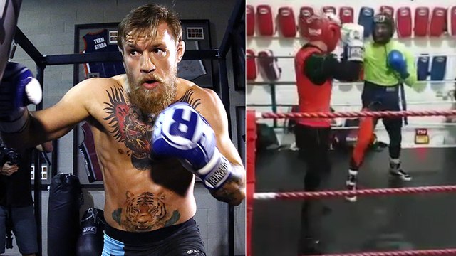 Conor McGregor réalise un sparring de boxe