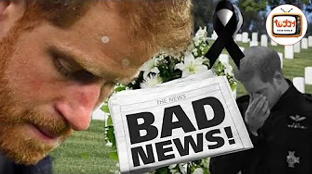 Sad news: The World mourns the passing of Queen - Harry returns to the UK to mourn today 2022